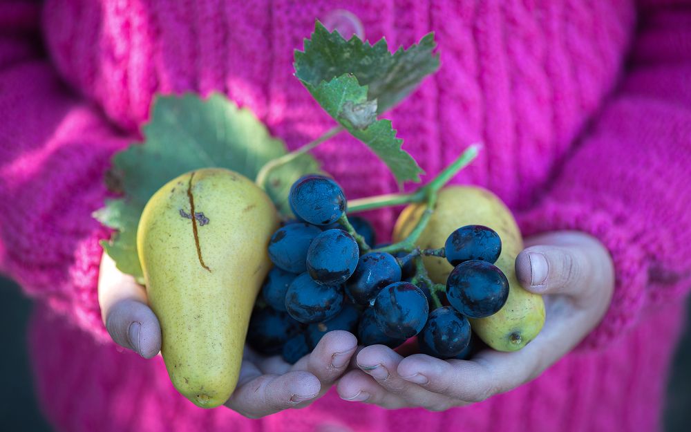 Фотография автора Виталий