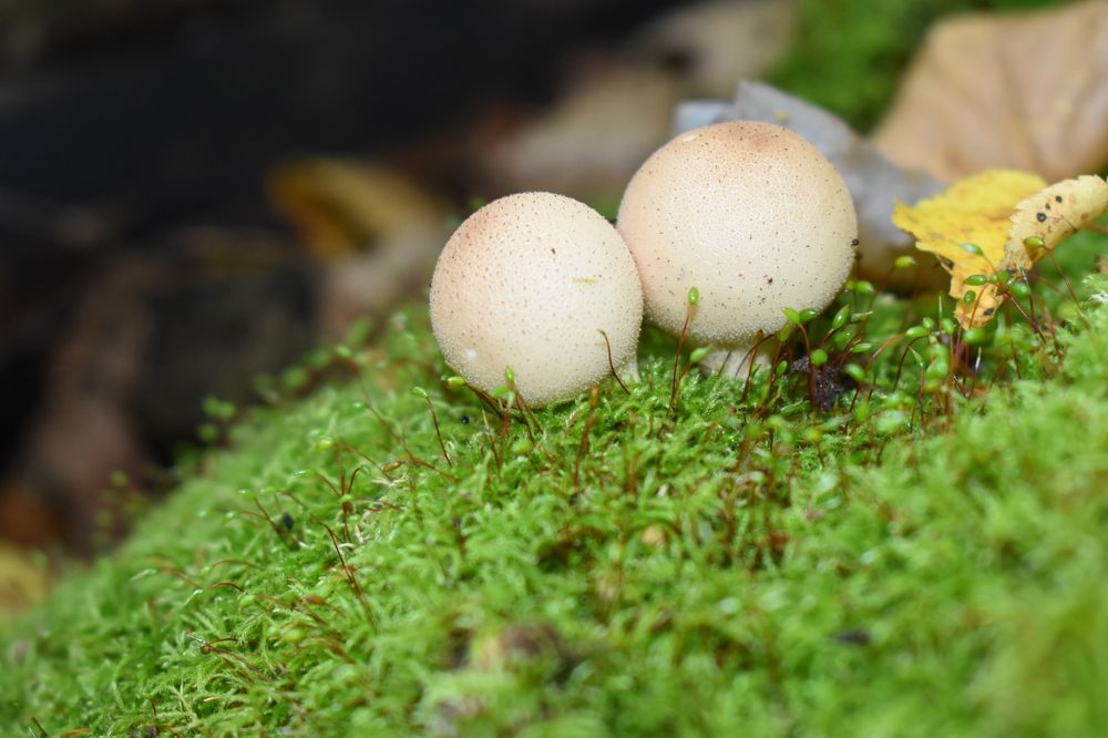 Photograph by Сергей Головин