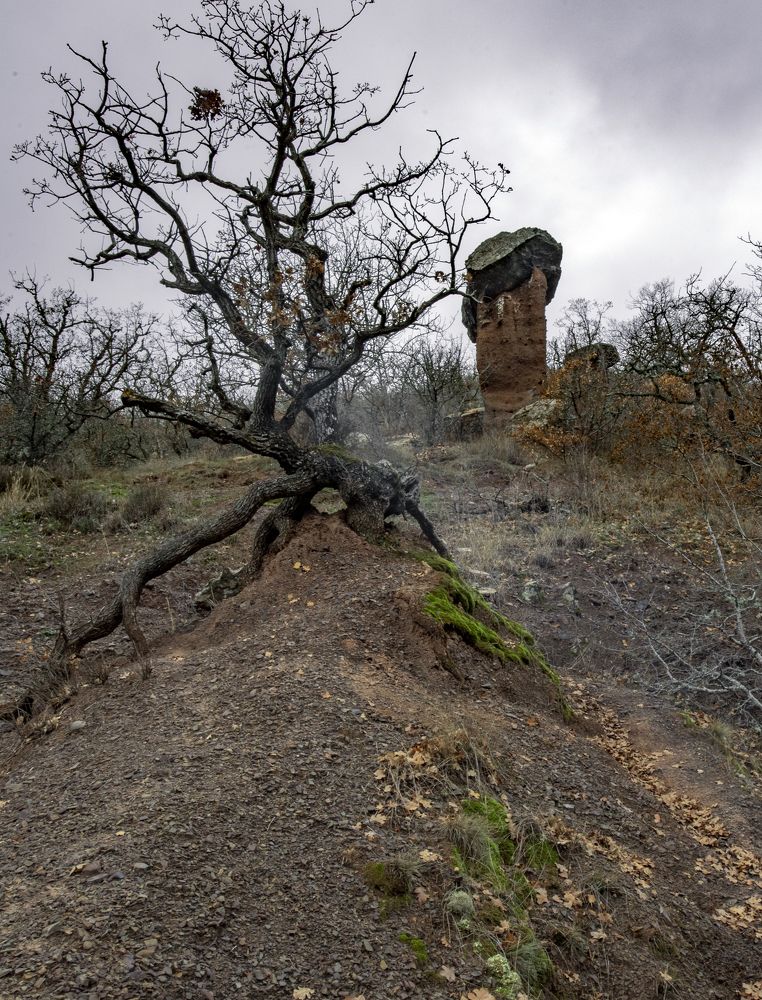 Каменные грибы Сотера