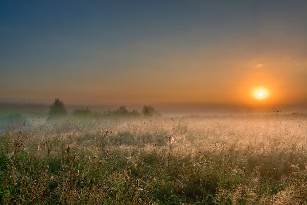 Просыпаясь | Waking up