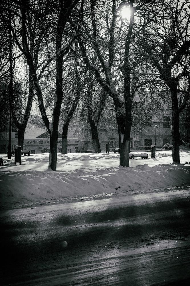 Photograph by Виталий Федотов