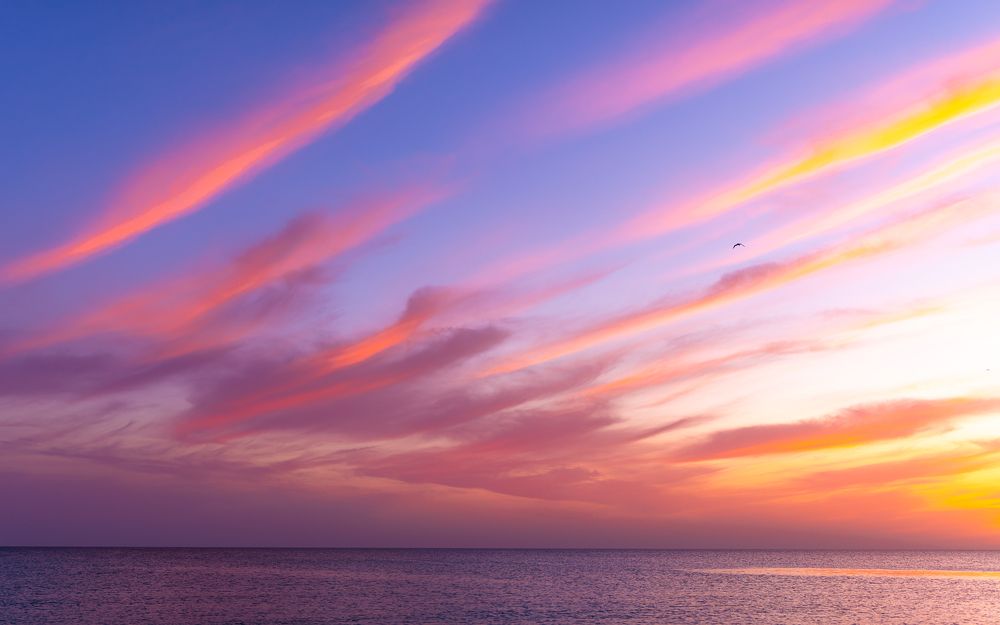 Photograph by Алексей