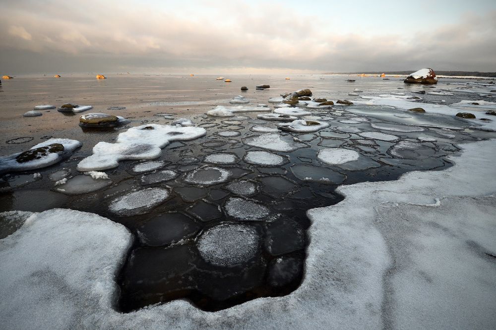 Photograph by Николай Кувшинов