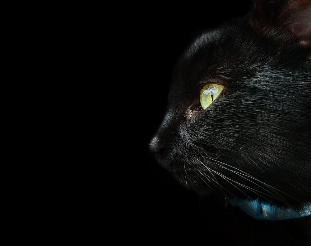 Photograph by Viktória Smid