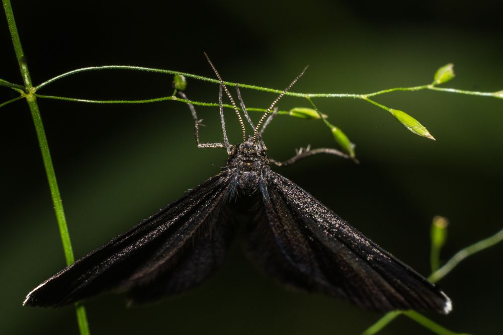 Photograph by Сергей Дикарев