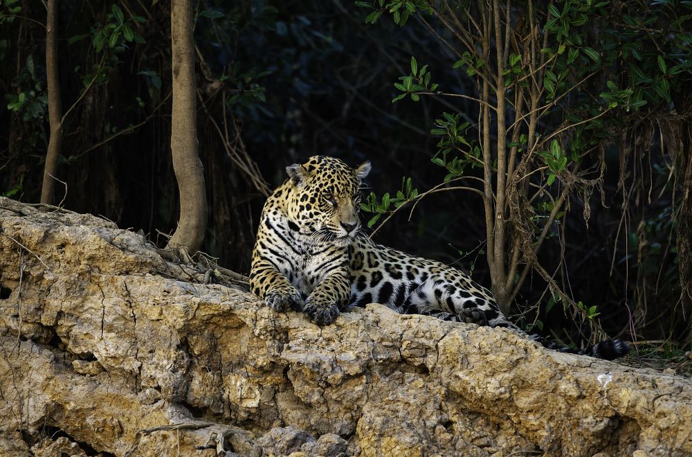 Photograph by Paulo Guerra