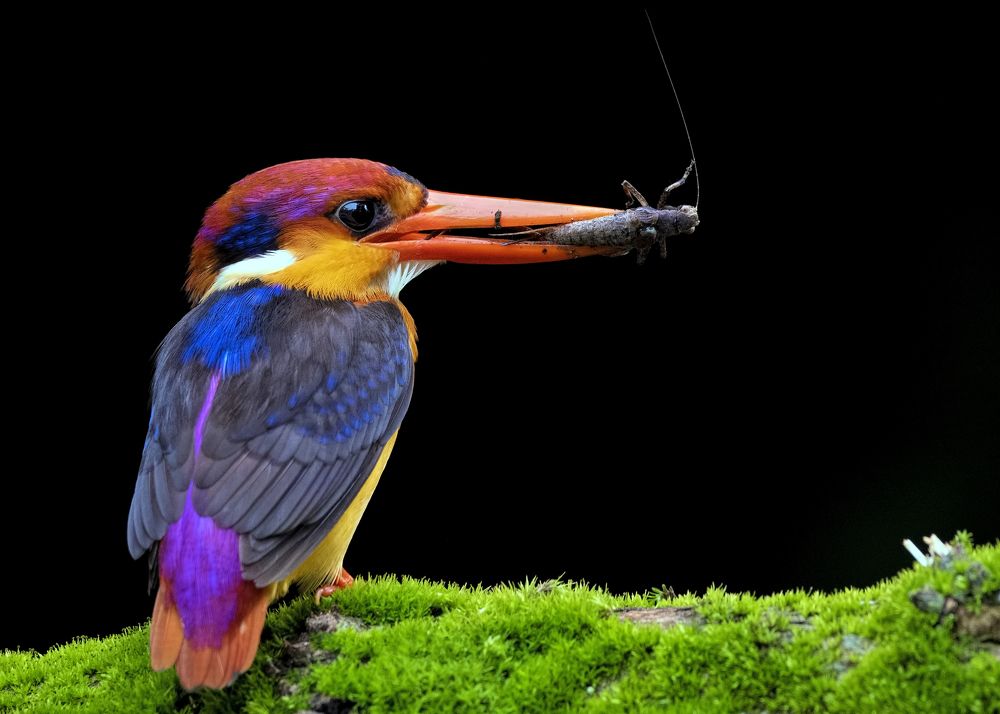 Photograph by Sandip Patil