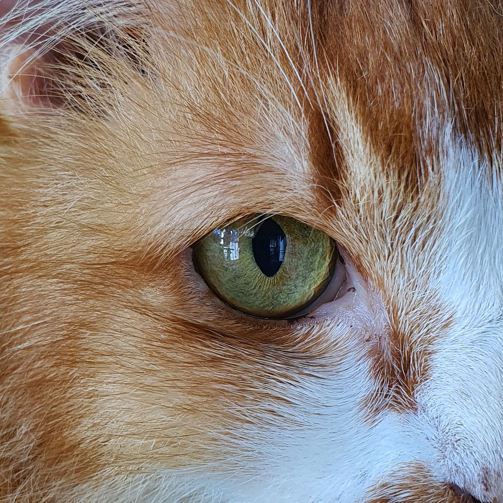 Photograph by Abdul Karim Muhammad Ikram