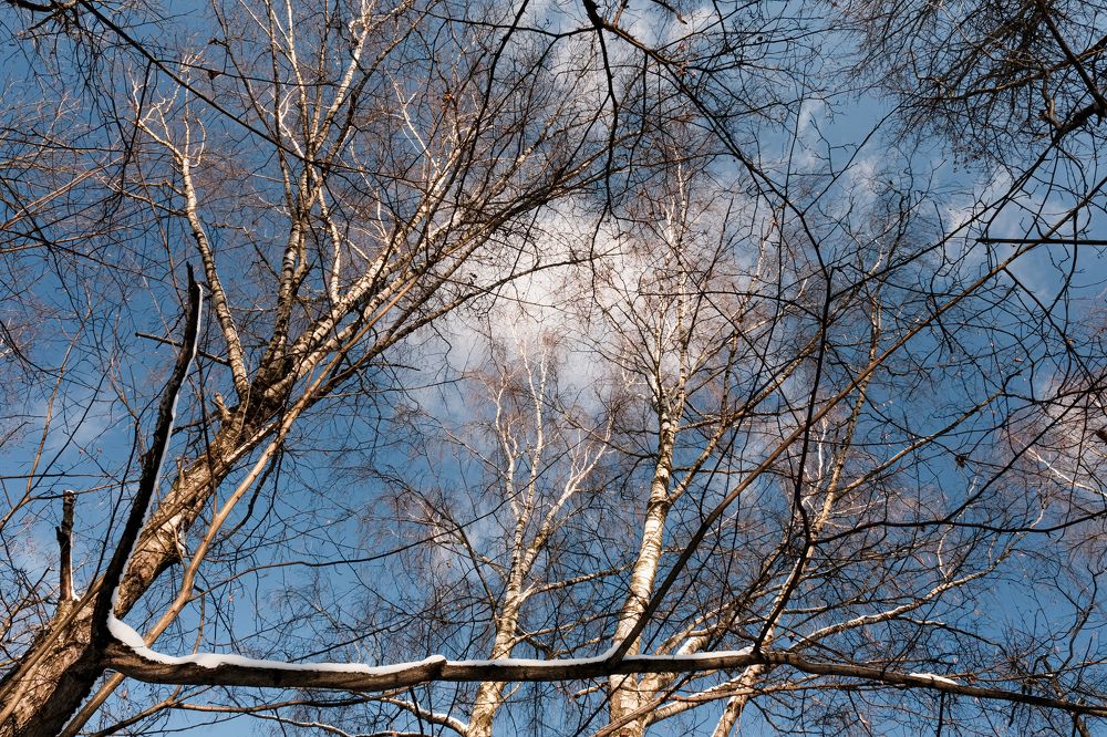 Photograph by Виктор Бунин