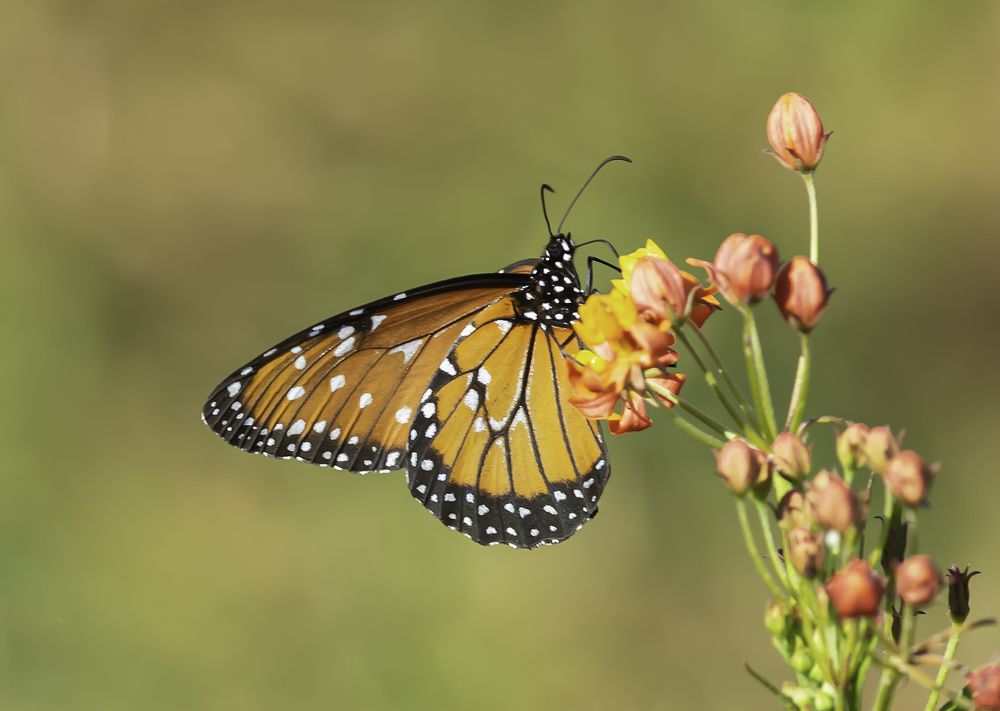 Photograph by Paulo Guerra