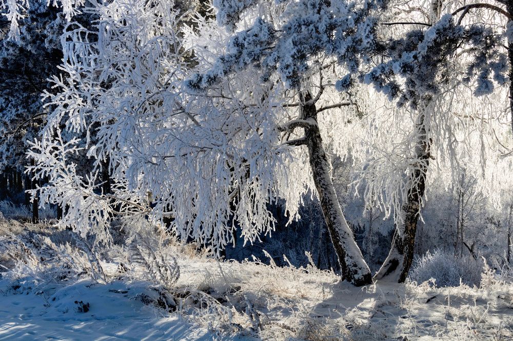 Photograph by Юрий Борик