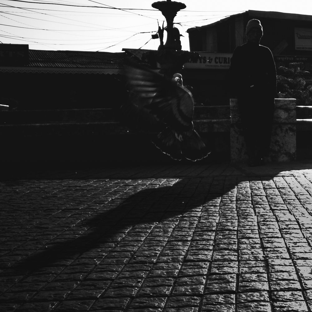 Photograph by SOUMADRI CHOWDHURY