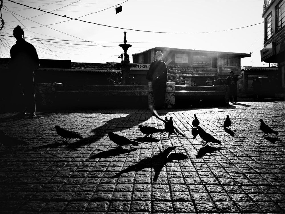 Photograph by SOUMADRI CHOWDHURY