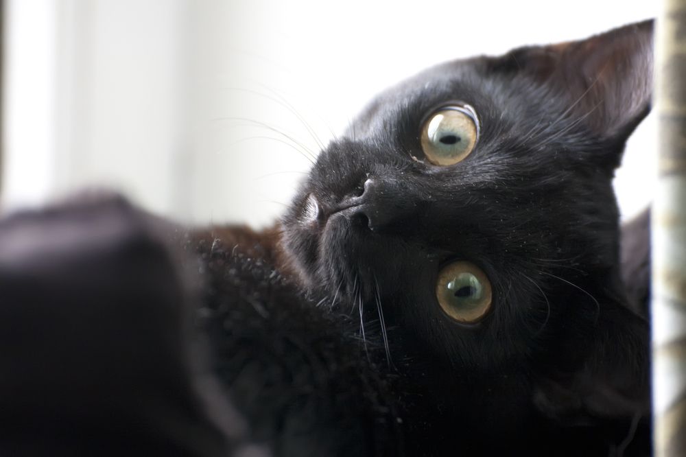 Взгляд в душу