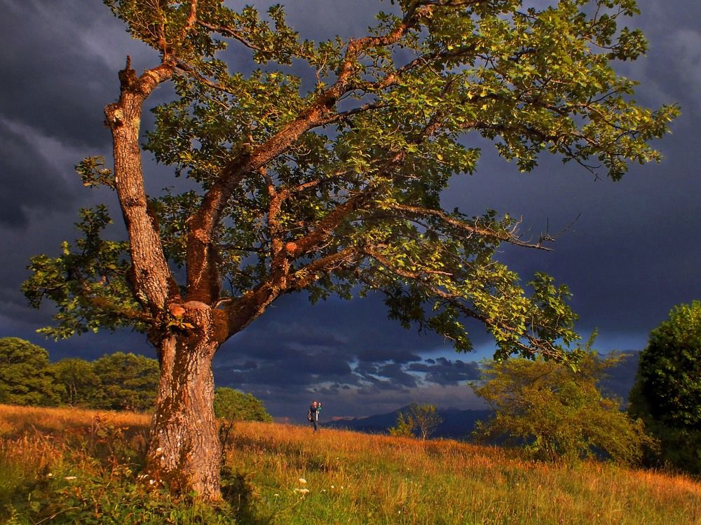 Photograph by Дмитрий Крылов