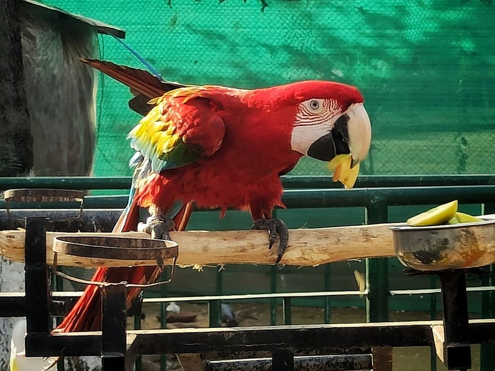Photograph by aaema pirzada