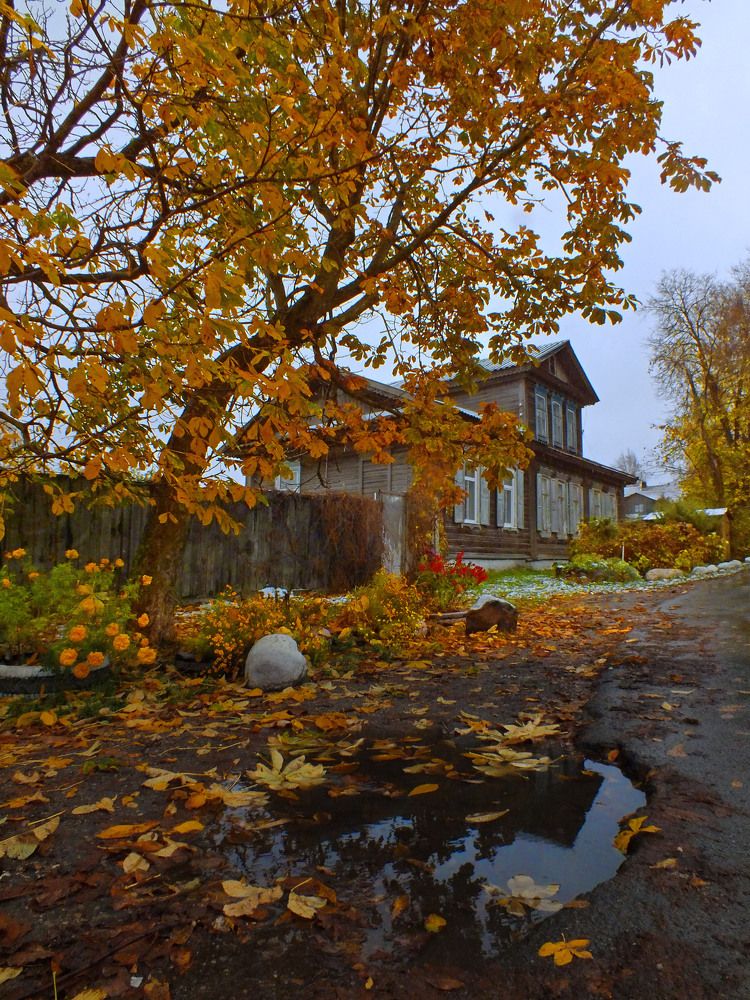 Photograph by Дмитрий Крылов