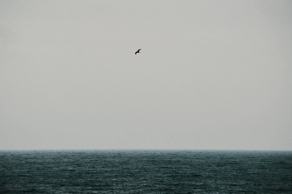 Photograph by Masha Vucinic Westerveen