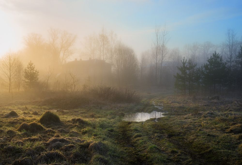 Photograph by Максим Сухов