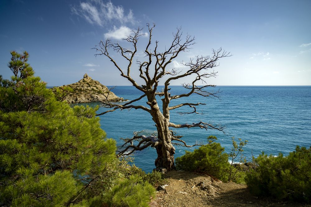 Photograph by Андрей Анатольевич Жуков