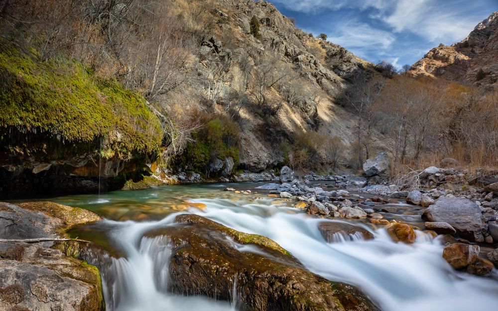 Речной этюд