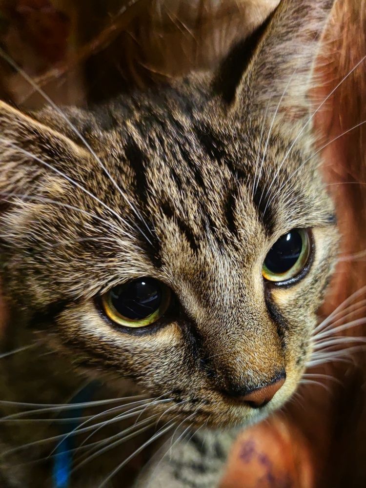 Photograph by Ula Zając