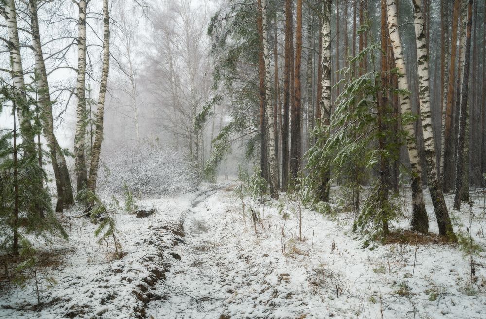 Конец апреля. Снег.