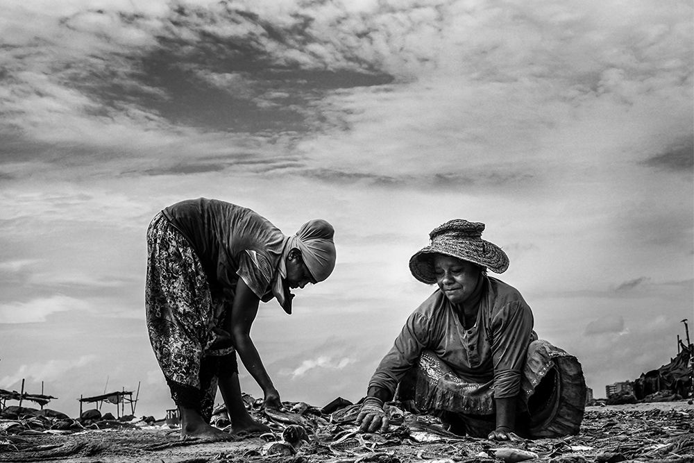 Photograph by Tharindu Nawarathna