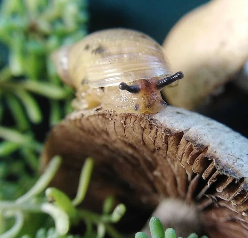 Photograph by Жанна Усатова