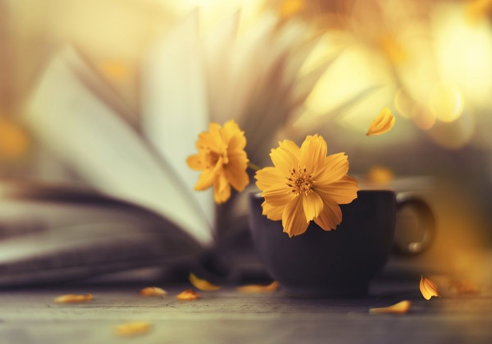 Photograph by Ahsan Ishtiaq