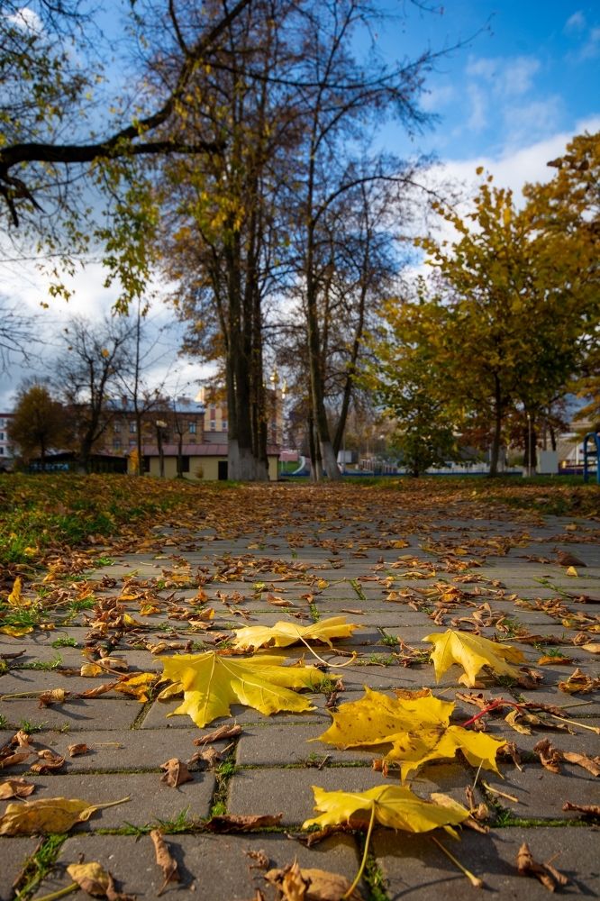 Photograph by Виталий Федотов