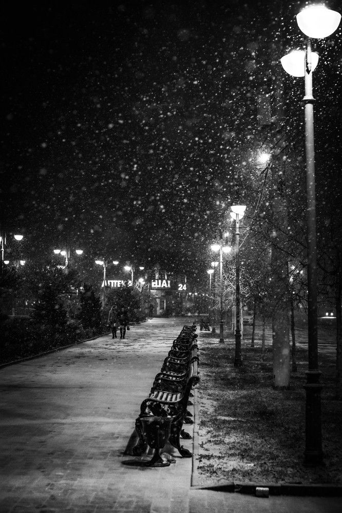 Photograph by Владимир Самосватов