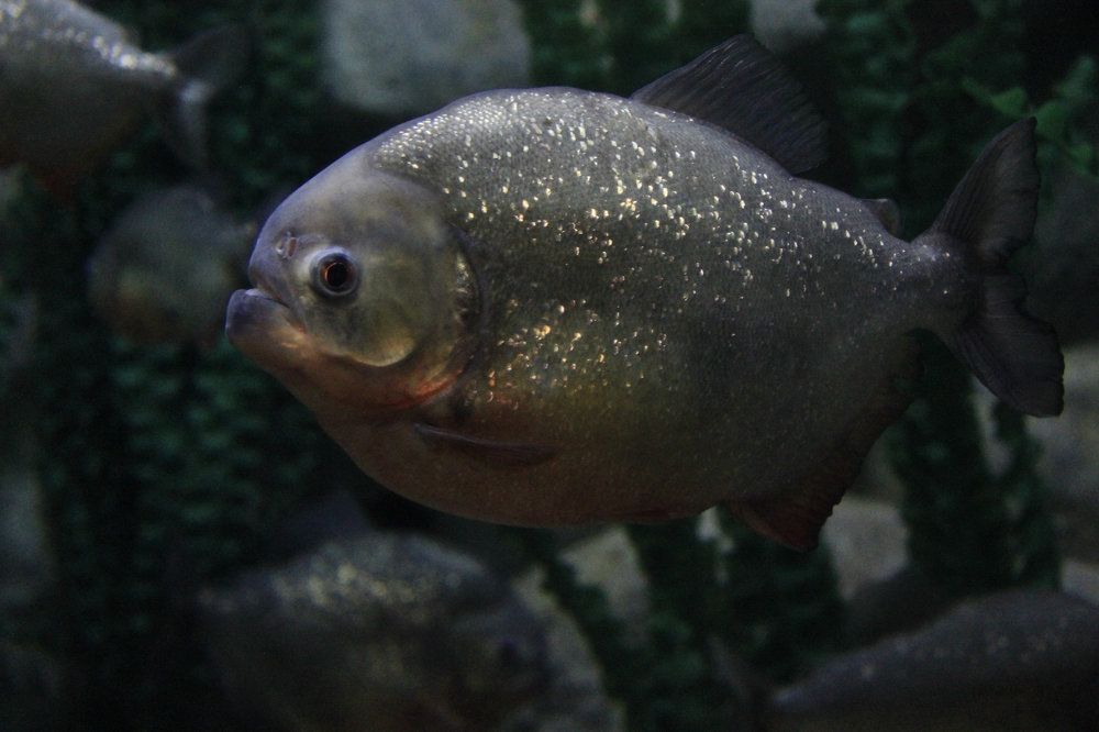 Photograph by Яшин Андрей