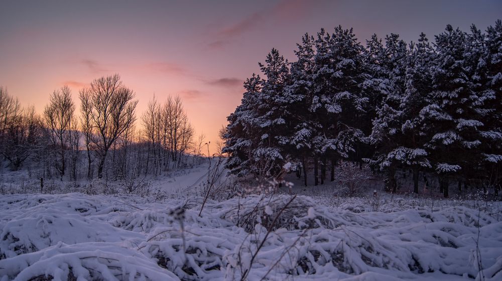 Photograph by Даниэль Чашкин