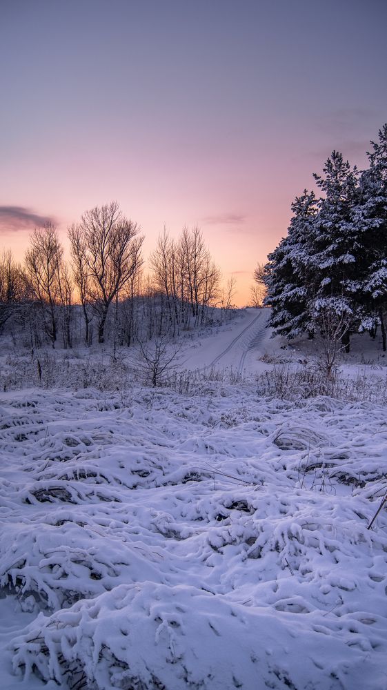Photograph by Даниэль Чашкин