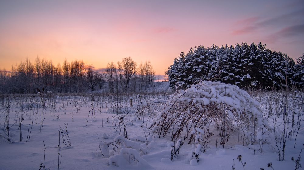 Photograph by Даниэль Чашкин
