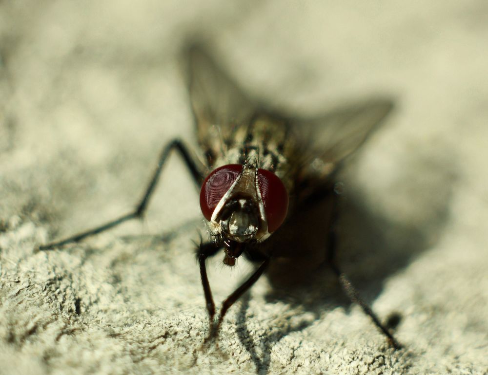 Photograph by Яшин Андрей