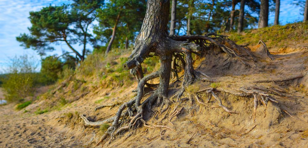 Photograph by Олег Малаев