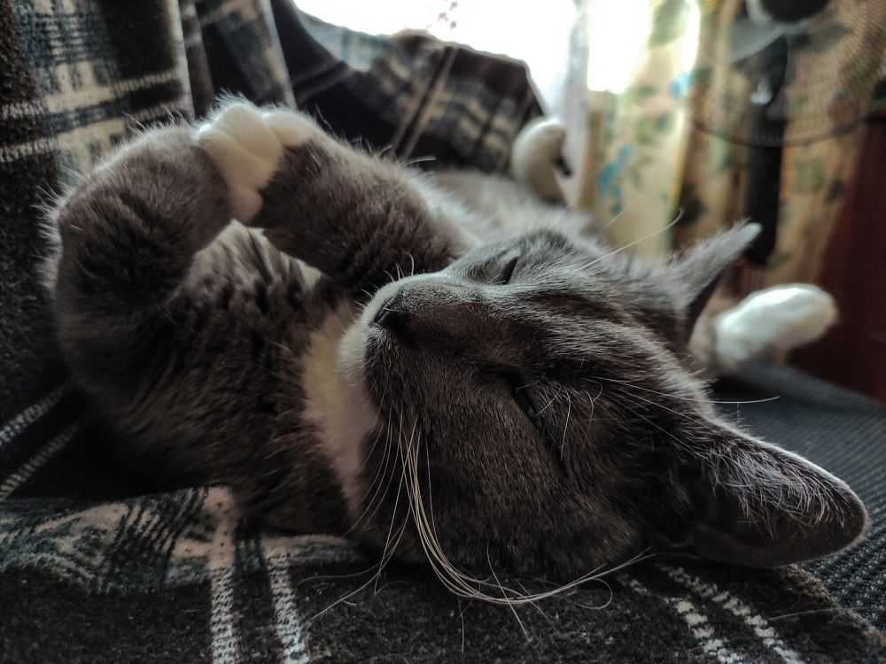 Photograph by Антон Григорьев