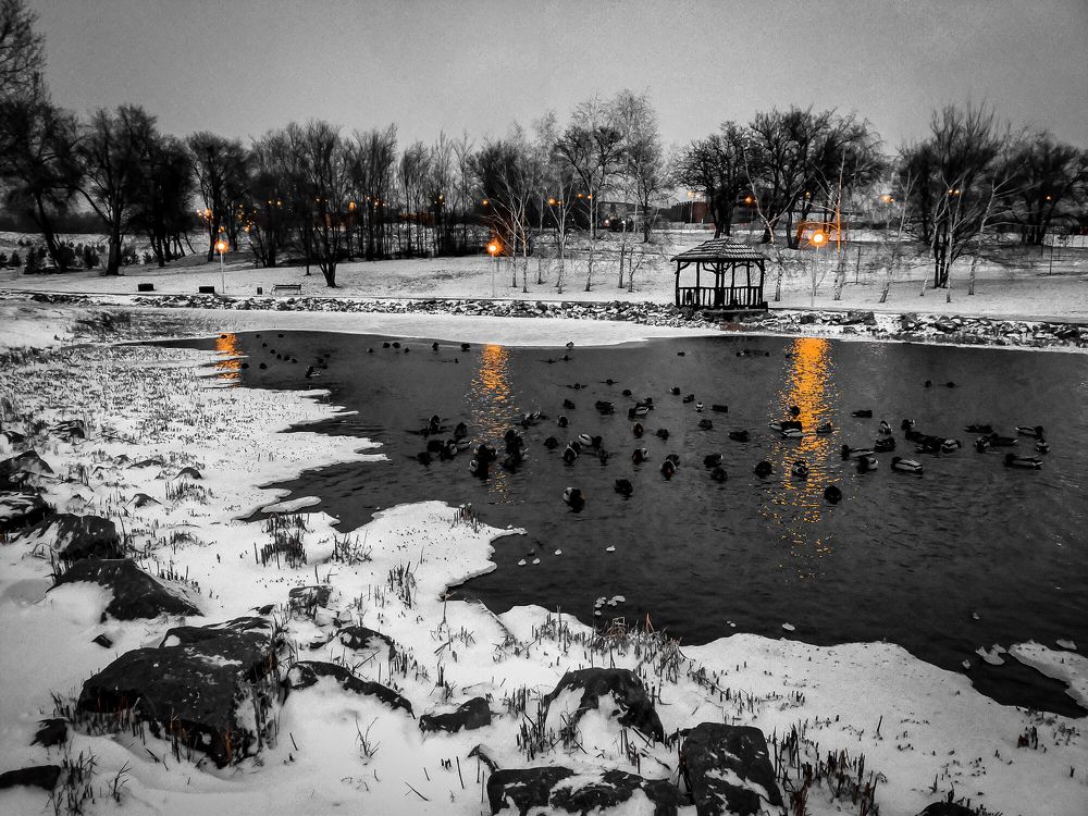 Photograph by Сергей Зуденко