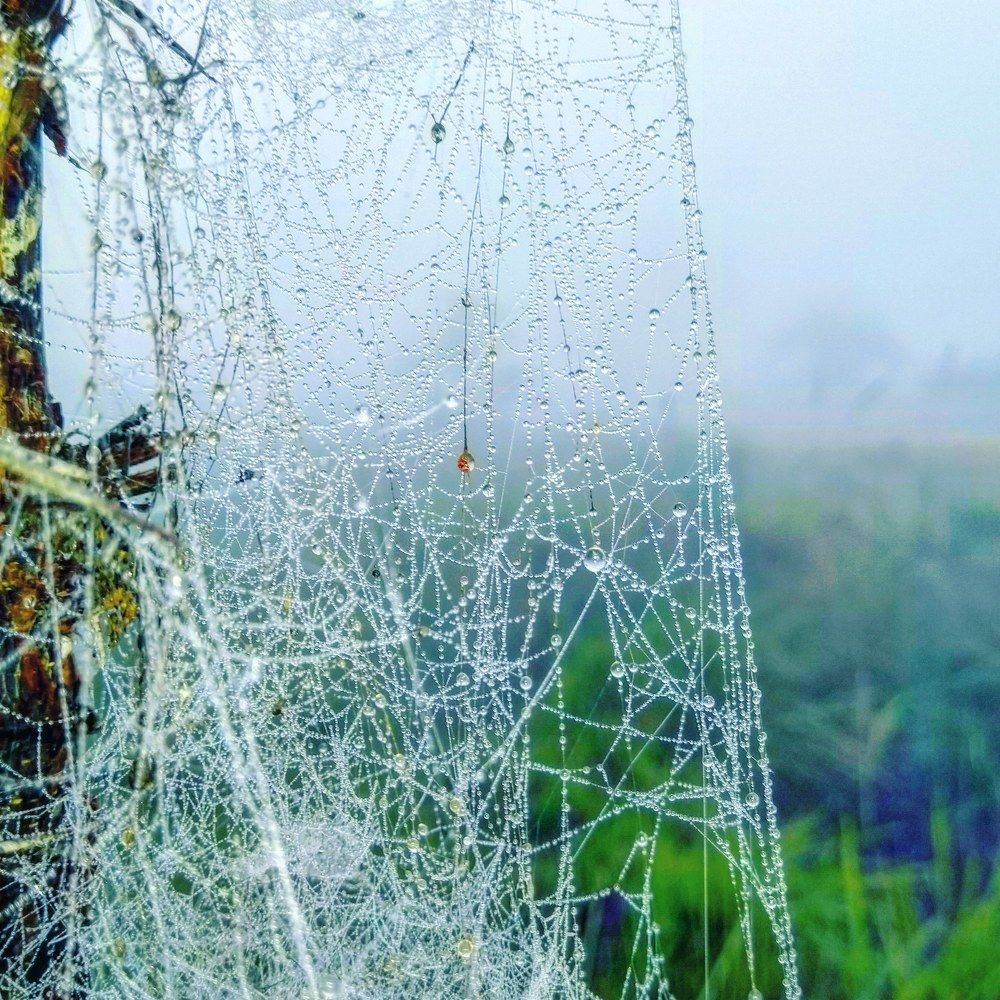 Photograph by Durgendra Singh