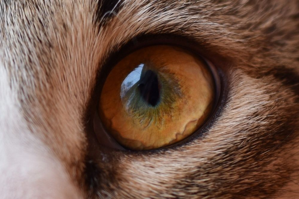 Photograph by Татьяна Юдина