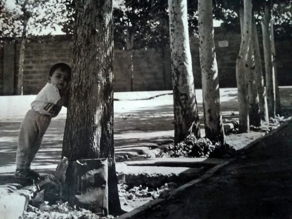 Photograph by Mozhgan Sadeghi