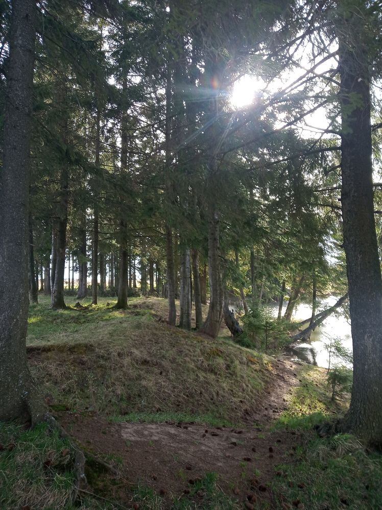 Photograph by елена сидорова