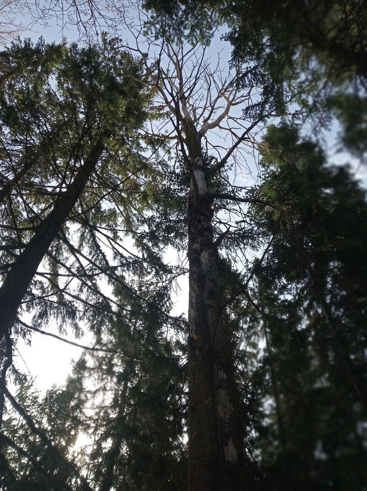 Photograph by елена сидорова