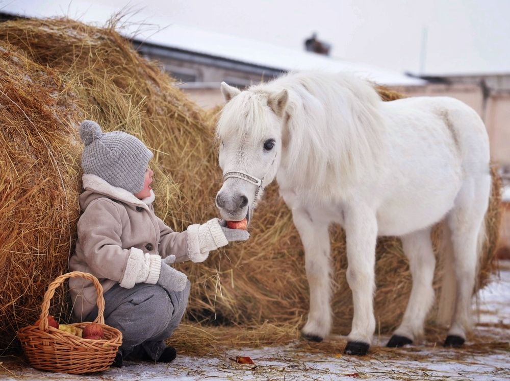 Photograph by Ирина Моисеенко