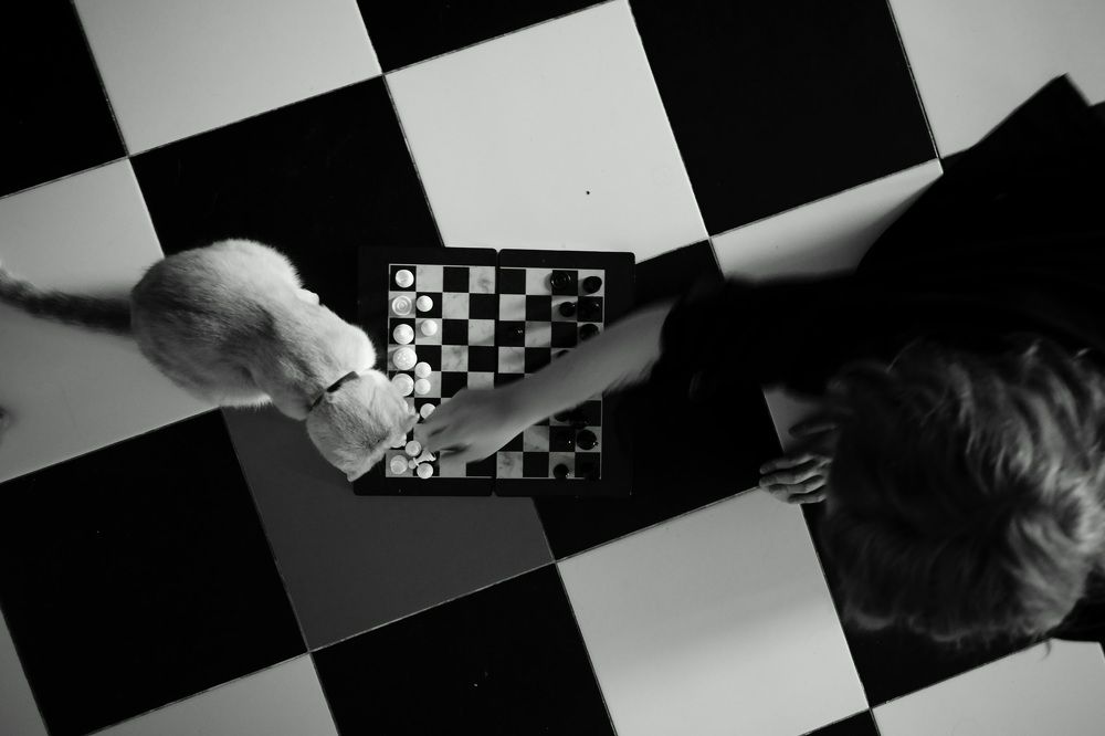 Photograph by Евгений