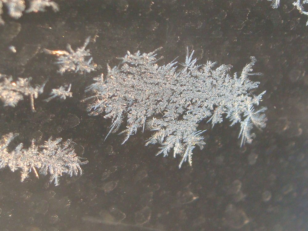 Photograph by Николай Худяков