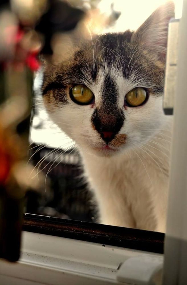 Photograph by Ula Zając