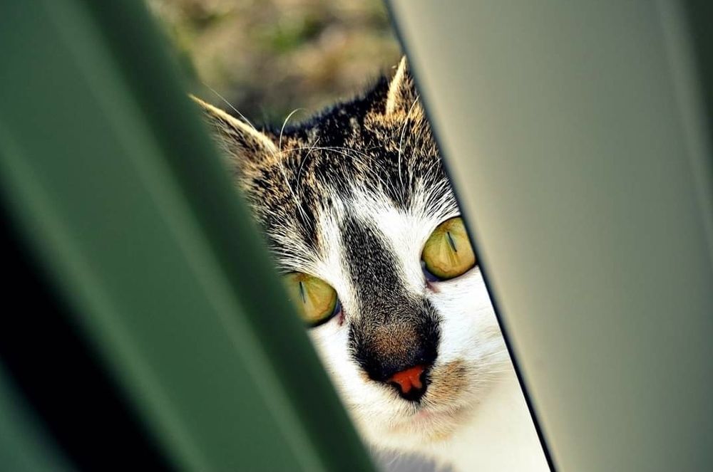 Photograph by Ula Zając